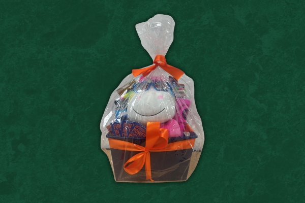Dave and Busters auction item