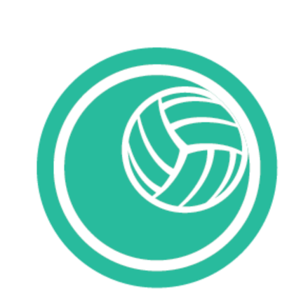 Volleyball icon